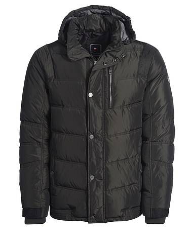 adler-de-2644269-ac6bf adler-de-2644269-ac6bf