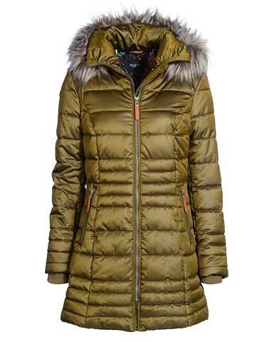 adler-de-731681395-47814 adler-de-731681395-47814