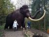 Bild des Benutzers Anima Matis